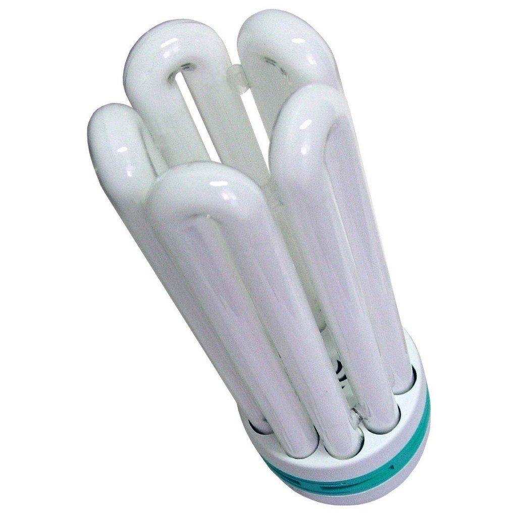 CFL Grow Lights - Red + Blue Combined, Dual Spectrum CFL