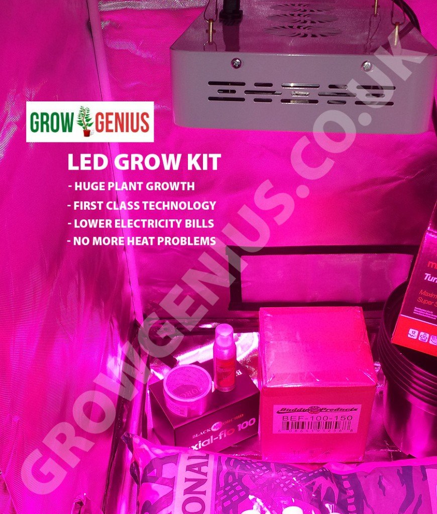 Grow Genius