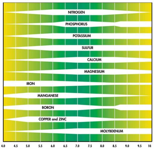 how-does-the-ph-of-water-or-soil-ph-affect-plant-growth