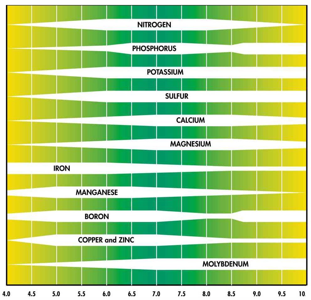 Vegetable Ph Level Chart | SexiezPix Web Porn