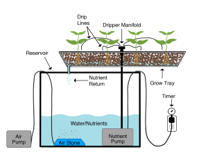 Drip-System