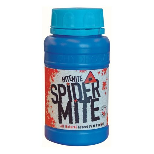 Nite Nite Spidermite