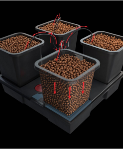 Wilma Systems