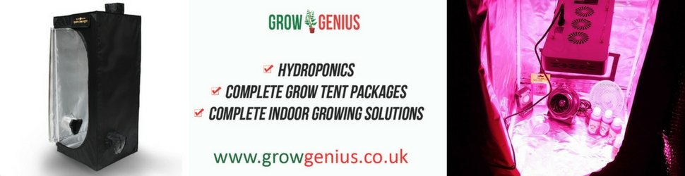 Grow Genius