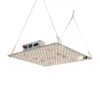 LED Grow Light
